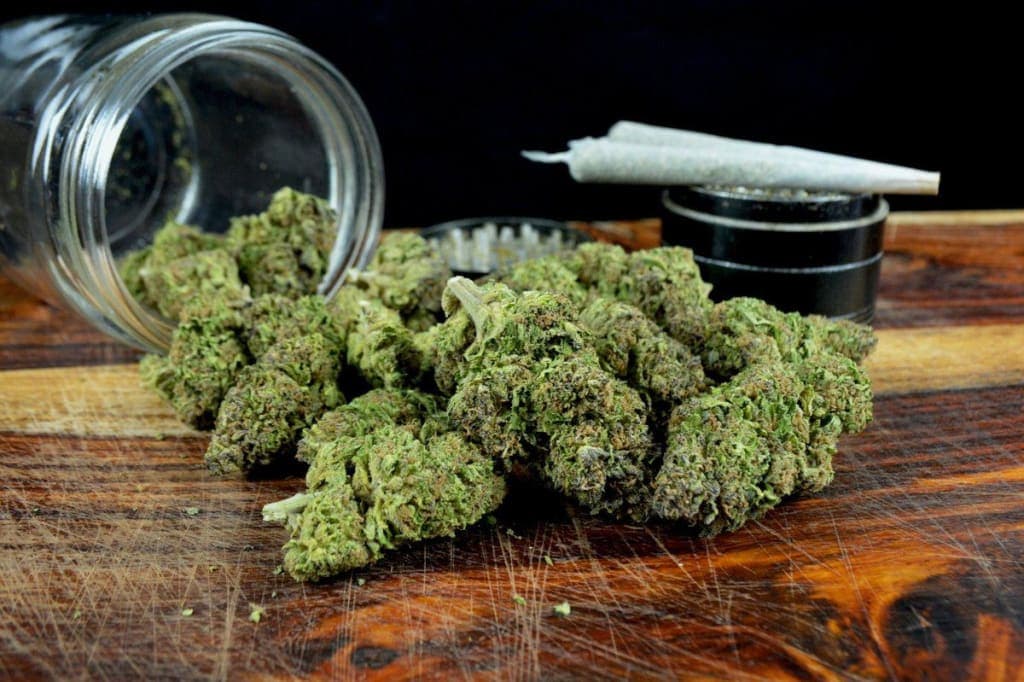 So findest du CBD Blüten für den Kauf, die wirklich überzeugen
