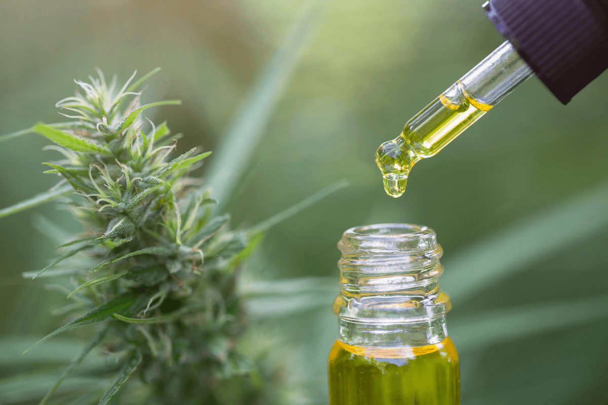 THC Destillieren: Wernard Bruining’s Beitrag zur medizinischen Nutzung von Cannabisöl