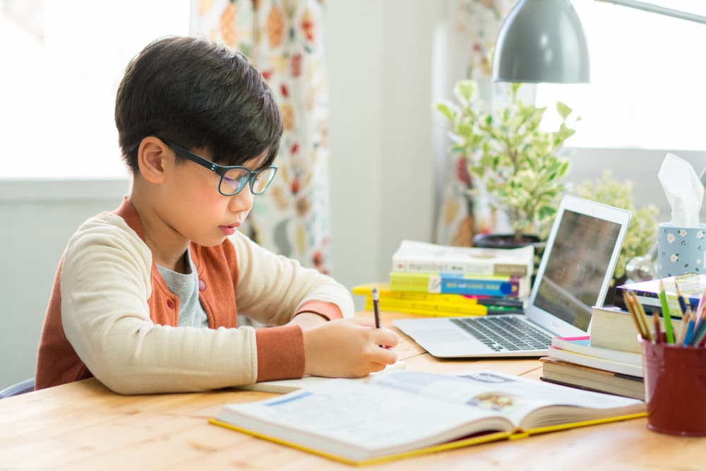 Online-Fortbildungen für ein besseres Miteinander: Mut zur Beziehung und fundierte Erkenntnisse aus der Kinderpsychologie & Pädagogik