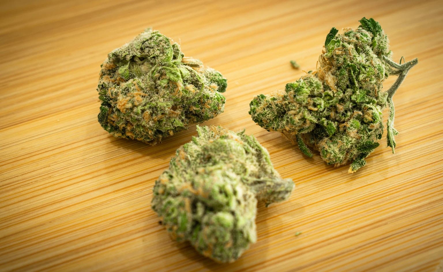 Qualitätsprüfung bestanden – Weed Samen kaufen in bester Frische