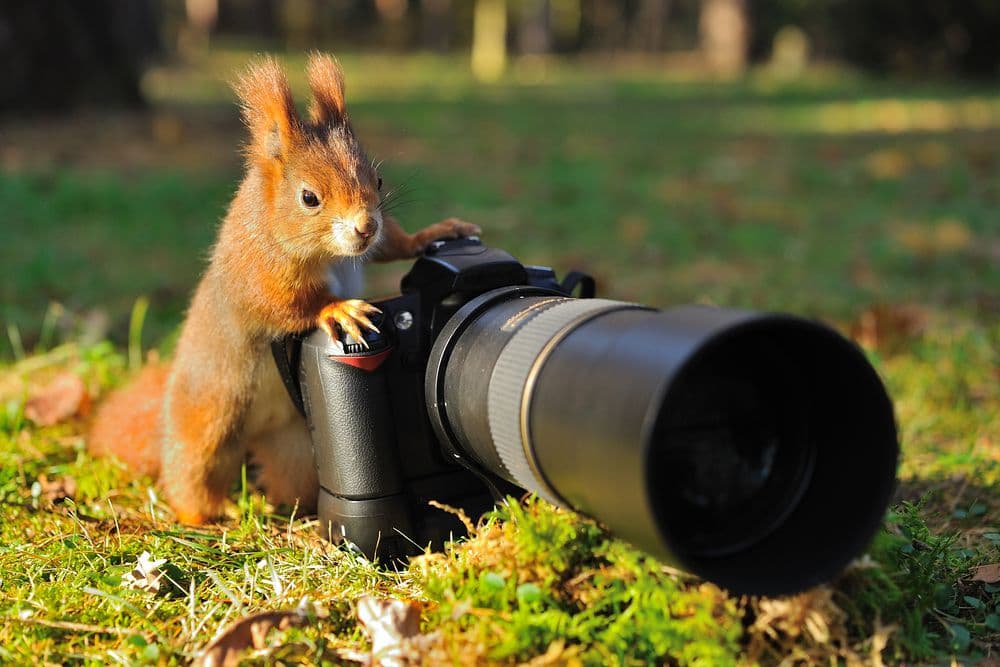 Werde kreativ im Fotokurs Hamburg