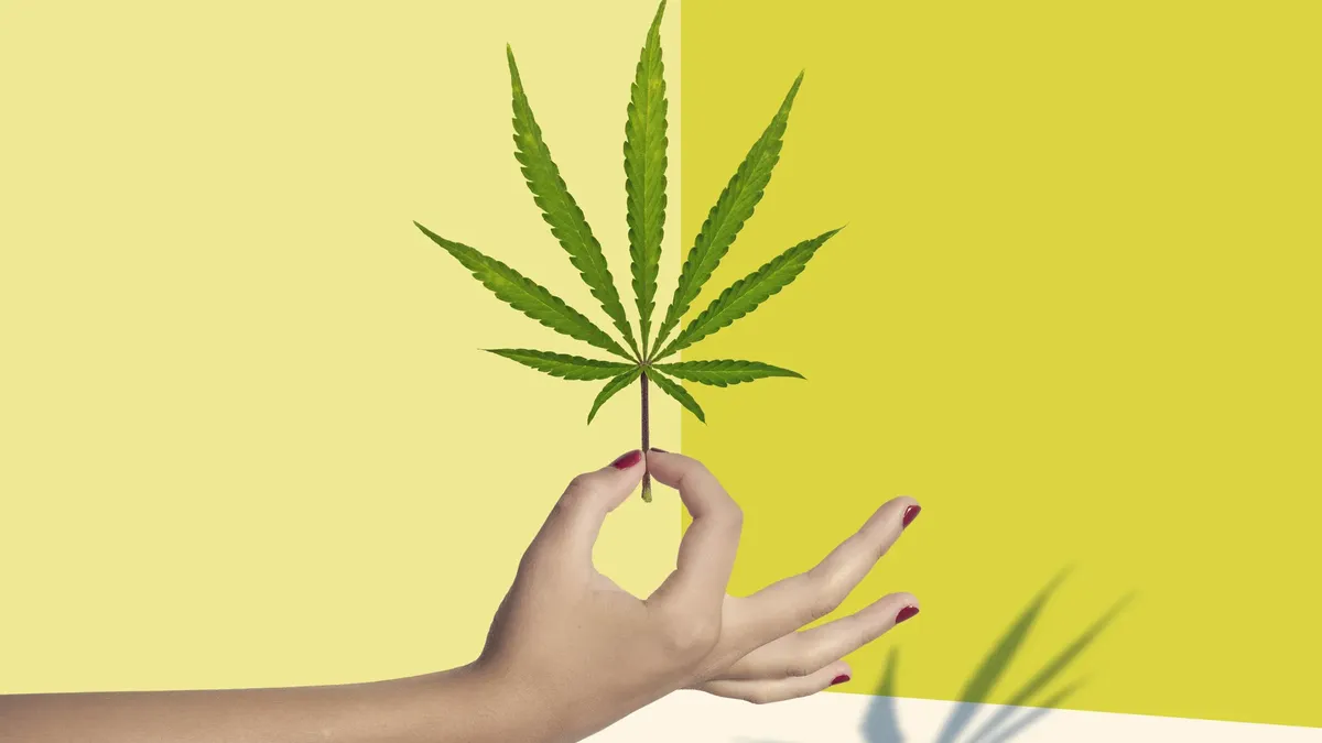 Qualitätsprüfung bestanden – Weed Samen kaufen in bester Frische