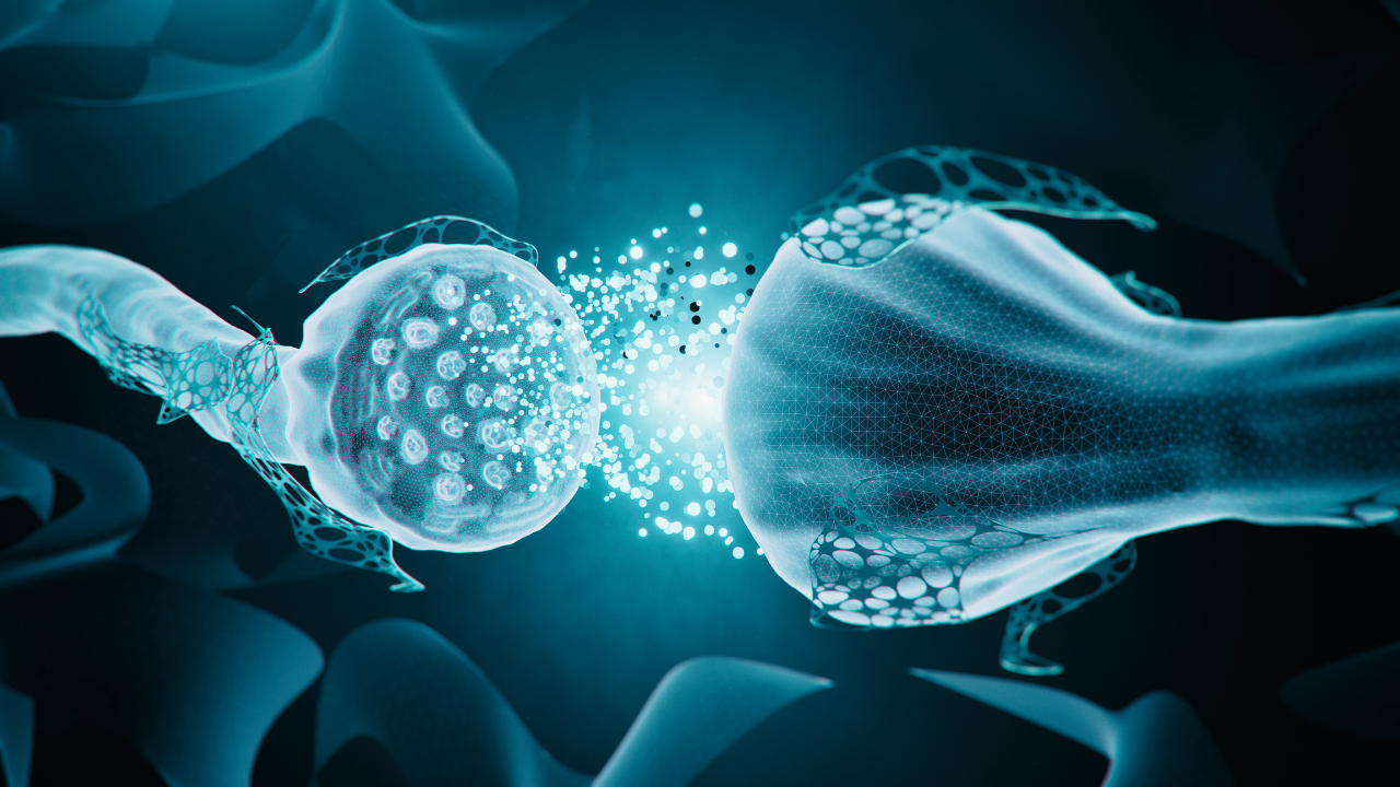 Neurotransmitter-Gleichgewicht mit Expertenfakten